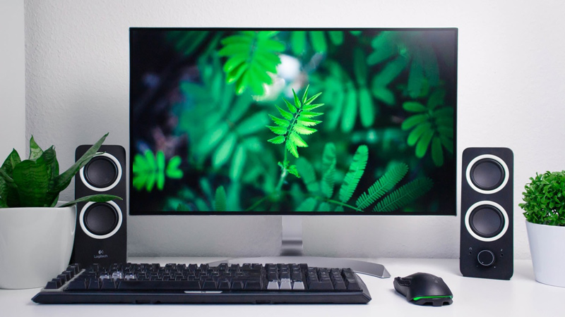 Computer with green plants on the screen and on the desk